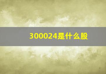 300024是什么股