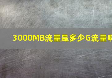 3000MB流量是多少G流量啊