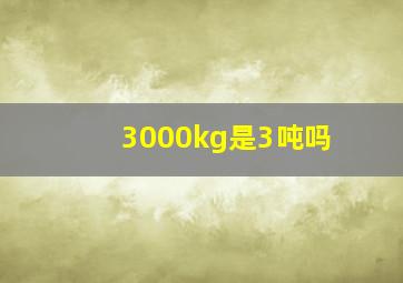 3000kg是3吨吗