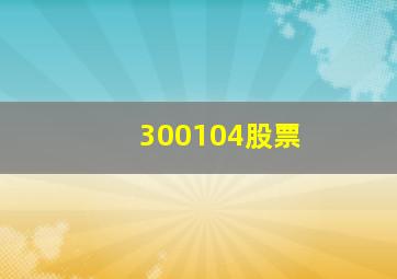 300104股票