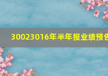 30023016年半年报业绩预告