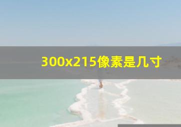 300x215像素是几寸