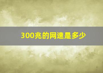 300兆的网速是多少