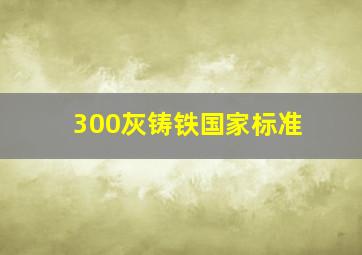 300灰铸铁国家标准