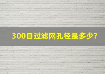 300目过滤网孔径是多少?