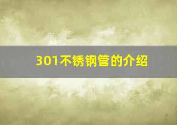 301不锈钢管的介绍