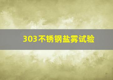 303不锈钢盐雾试验(