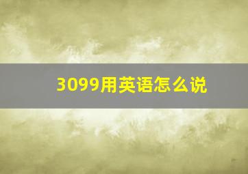 3099用英语怎么说