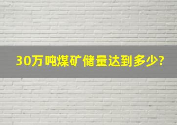 30万吨煤矿储量达到多少?