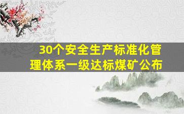 30个安全生产标准化管理体系一级达标煤矿公布