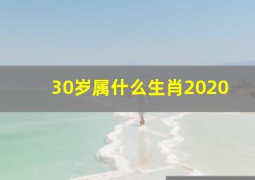 30岁属什么生肖2020