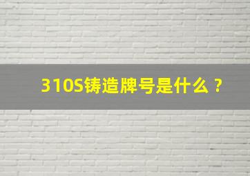 310S铸造牌号是什么 ?