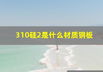 310硅2是什么材质钢板