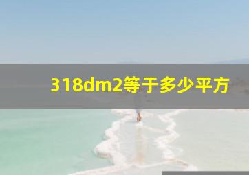 318dm2等于多少平方