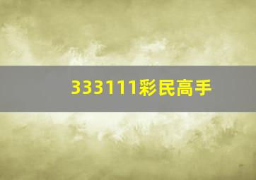 333111彩民高手