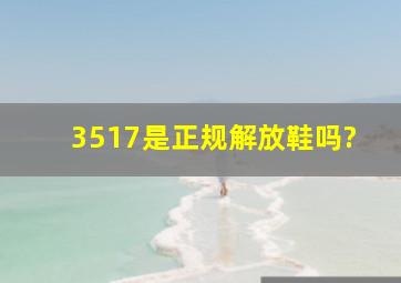 3517是正规解放鞋吗?