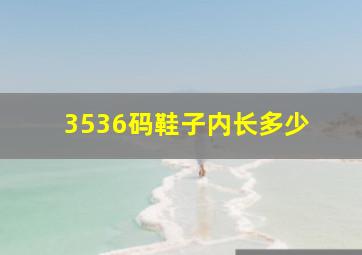 3536码鞋子内长多少 