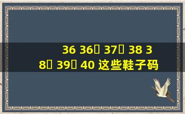 36 36⅔ 37⅓ 38 38⅔ 39⅓ 40 这些鞋子码数是什么意思