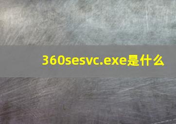 360sesvc.exe是什么(