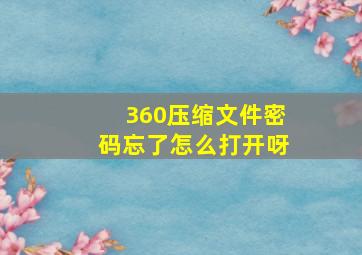 360压缩文件密码忘了,怎么打开呀