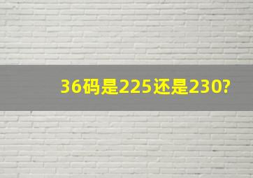 36码是225还是230?