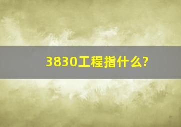 3830工程指什么?