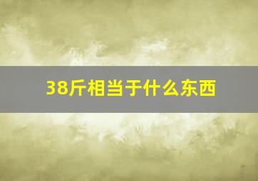 38斤相当于什么东西