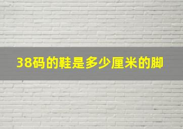 38码的鞋是多少厘米的脚 