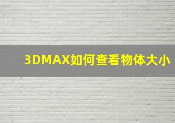 3DMAX如何查看物体大小