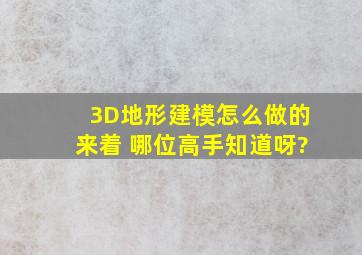 3D地形建模怎么做的来着 哪位高手知道呀?