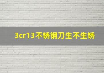 3cr13不锈钢刀生不生锈