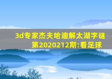 3d专家杰夫哈迪解太湖字谜第2020212期:看足球