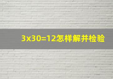 3x30=12怎样解并检验