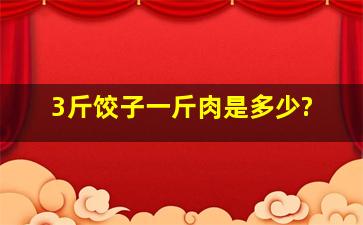 3斤饺子一斤肉是多少?