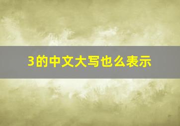 3的中文大写也么表示