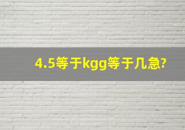4.5等于()kg()g等于几急?