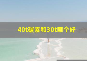 40t碳素和30t哪个好