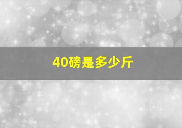 40磅是多少斤(