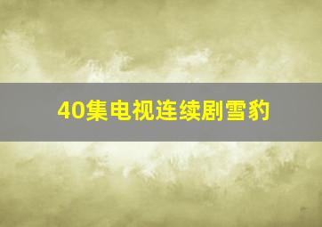 40集电视连续剧《雪豹》