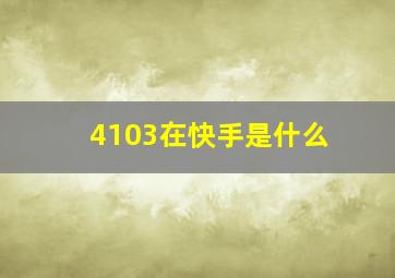 4103在快手是什么(