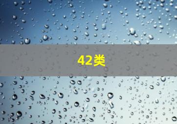 42类