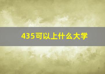 435可以上什么大学