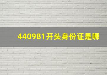 440981开头身份证是哪(