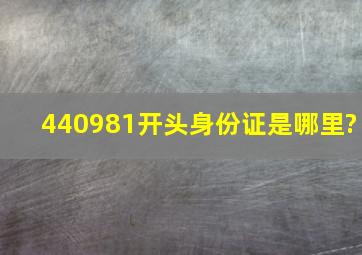 440981开头身份证是哪里?