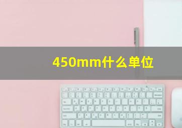 450mm什么单位