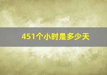 451个小时是多少天