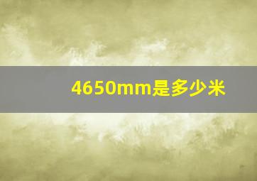 4650mm是多少米(