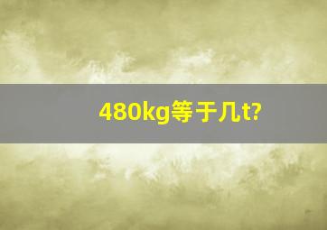 480kg等于几t?