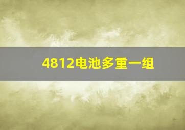 4812电池多重一组(