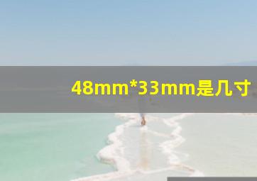 48mm*33mm是几寸